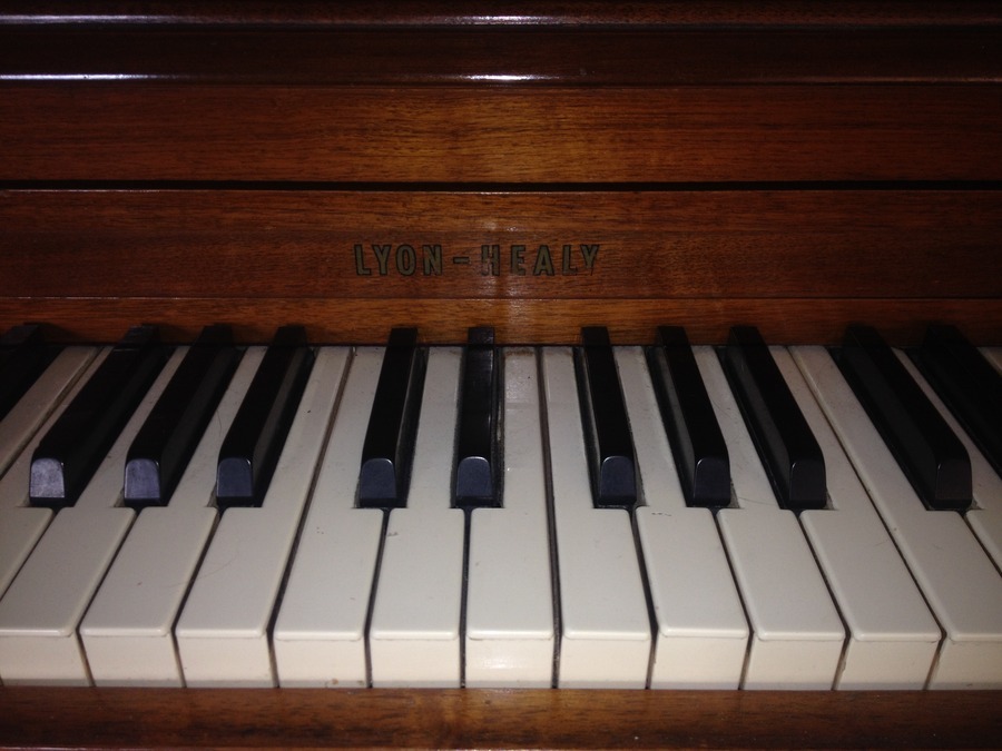 Lyon And Healy Serial Numbers Harp