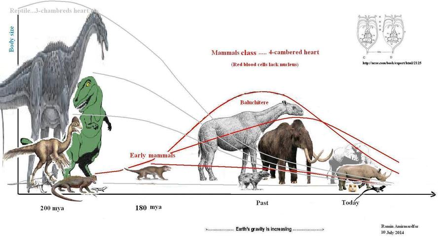 How Is Size Affected By Gravity And Circulation? | Dinosaur Home