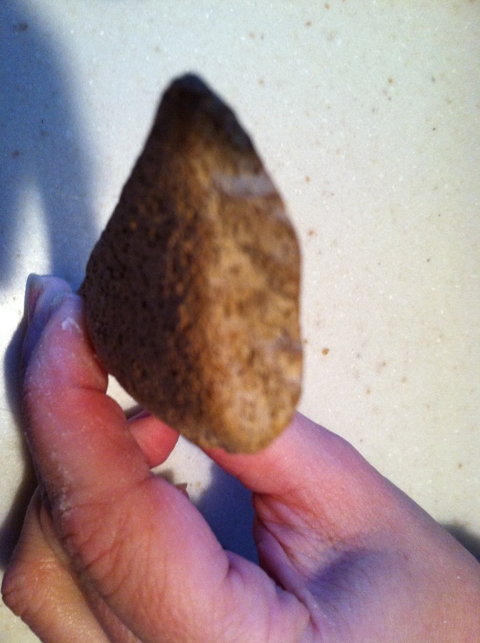 Found What Looks Like A Dinosaur Tooth. Was Hoping For Help On