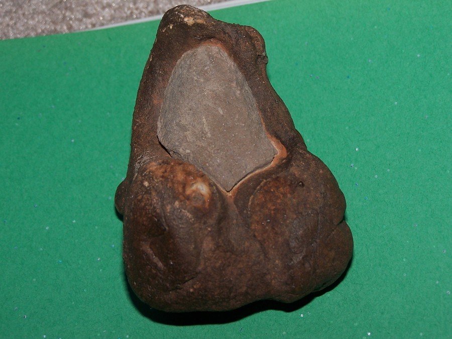 Need Help Identifying (rock,bone,petrifi Ed,fossil?)thanks! | Dinosaur Home