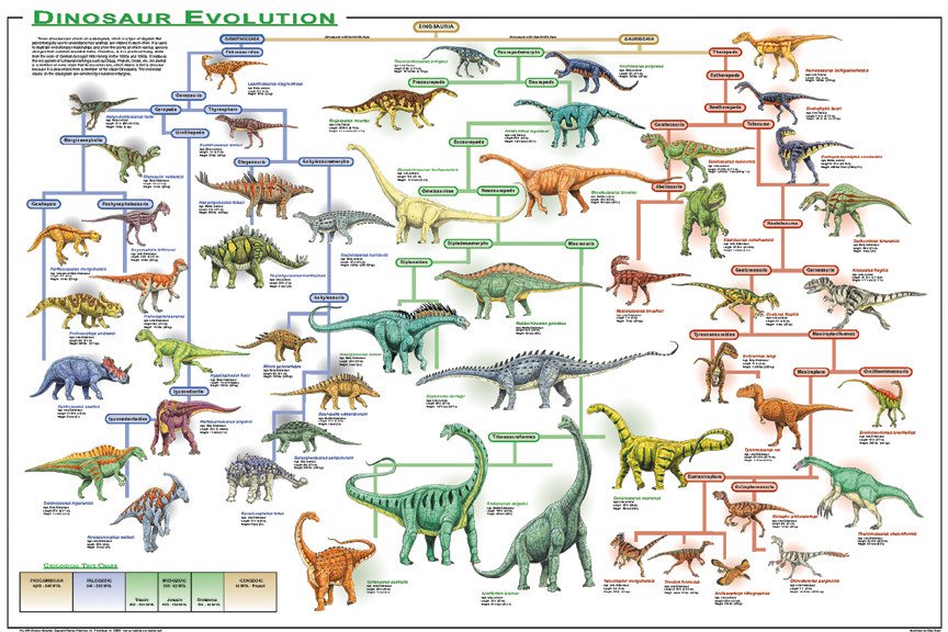 All Dinosaurs Names List لم يسبق له مثيل الصور Tier3 Xyz