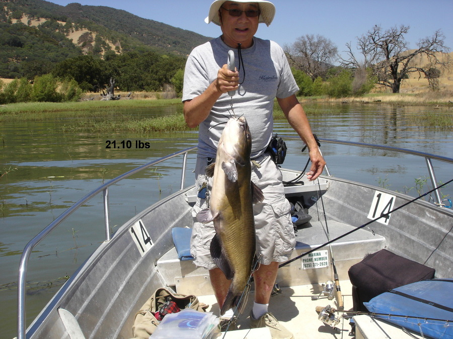 Bait Fishing With Magic Thread - Catfish At Los Vaqueros