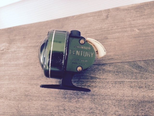 Spring Cleaning And Painting That Johnson Reel