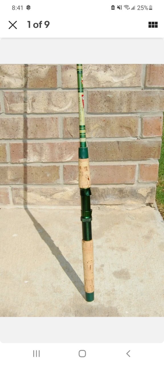 Trying To Figure Out A Good Rod To Pair With A Garcia Mitchell 300