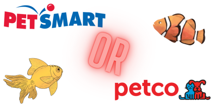 Petco Vs. PetSmart: Which Should You Buy From?
