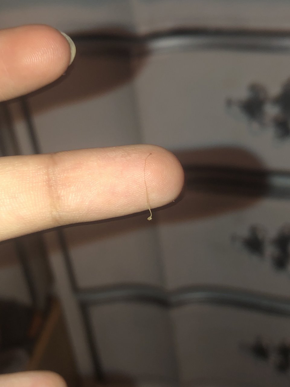 What Is This Clear String I Found In My Aquarium