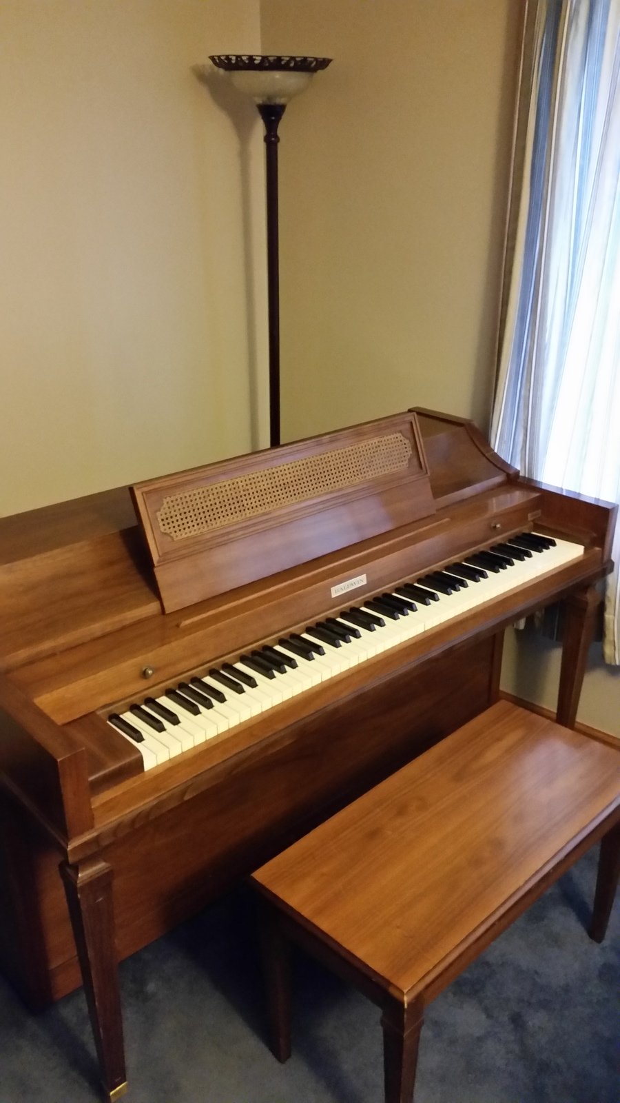 how to find serial numbers of a baby grand baldwin pian