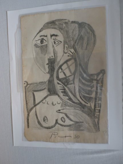 Picasso Drawing Information
